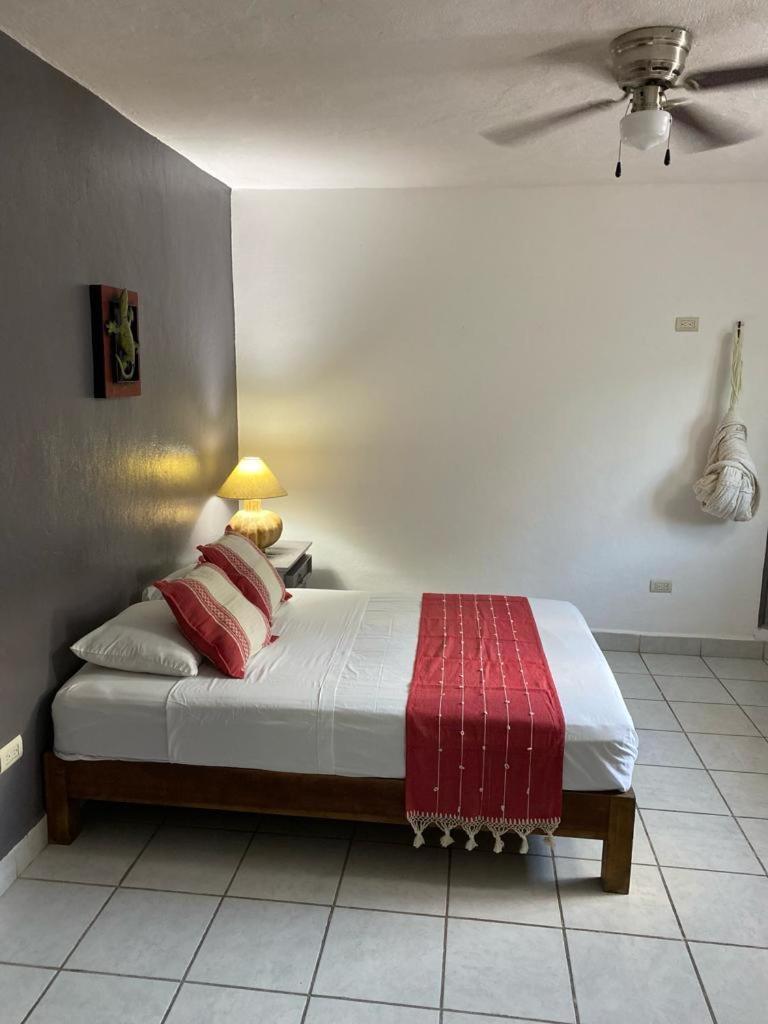 Caribo Cozumel Hotel Bilik gambar